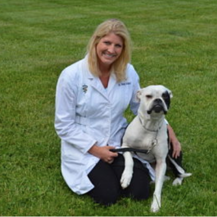 michigan road animal hospital 96